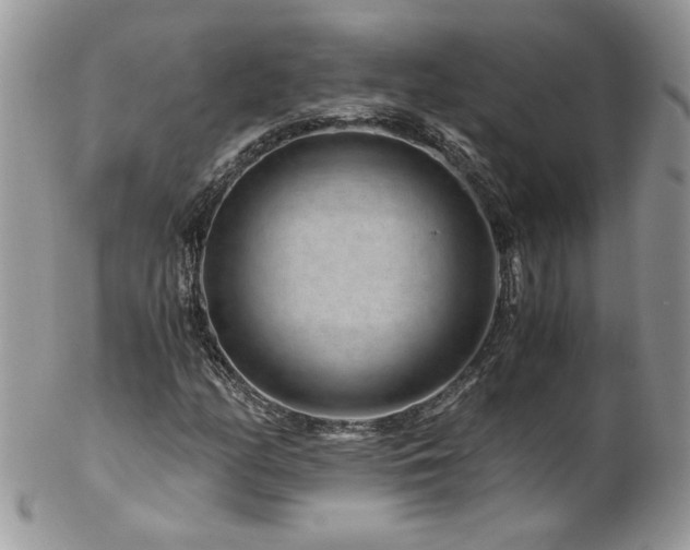 X0000102821158200808181239