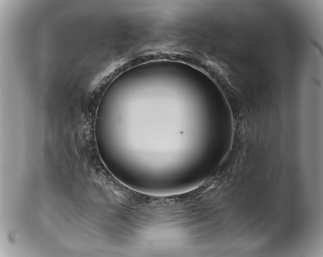 X0000102821159200808181239