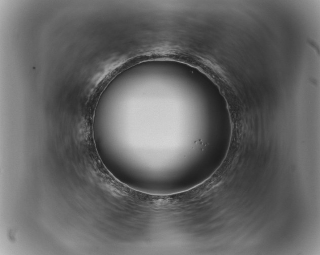 X0000102821160200808181239