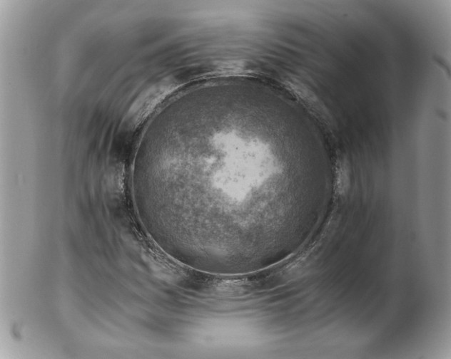 X0000102821161200808181239