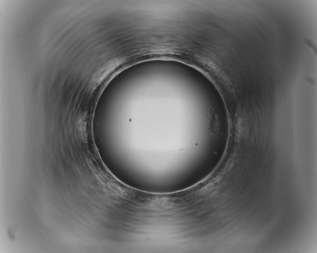 X0000102821162200808181239