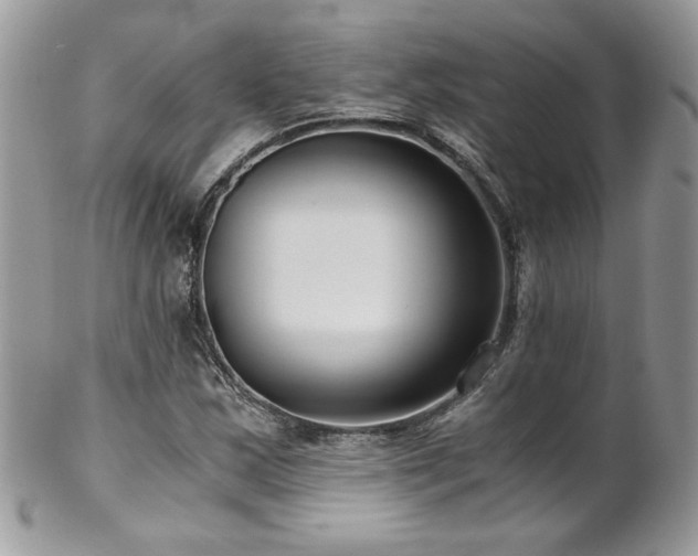 X0000102821163200808181239