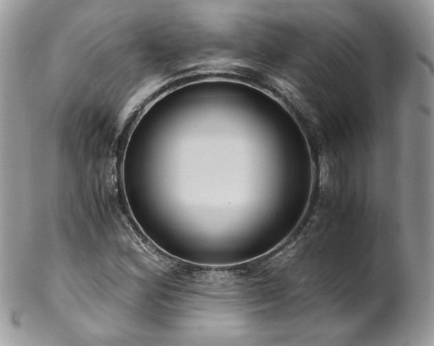 X0000102821164200808181239