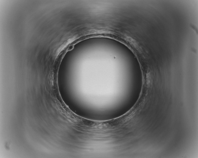 X0000102821165200808181239