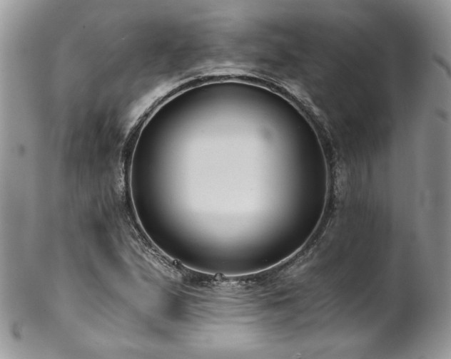 X0000102821167200808181239