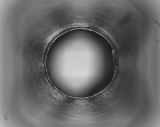 X0000102821168200808181239