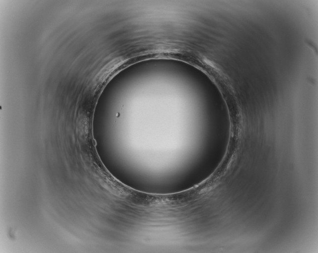 X0000102821169200808181239