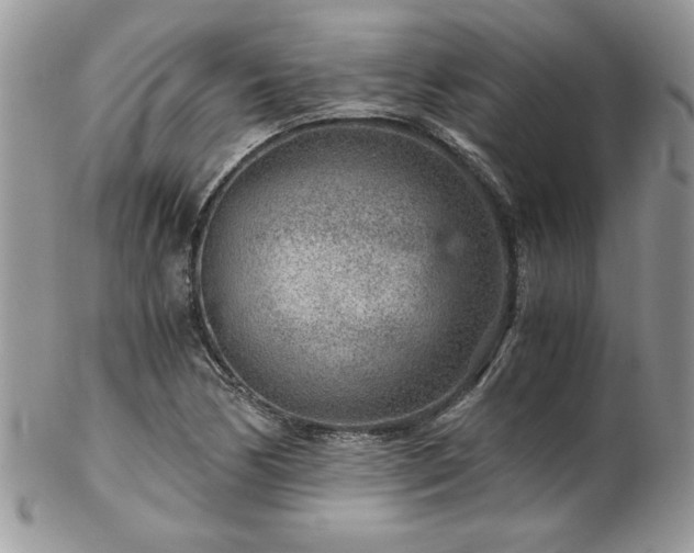 X0000102821170200808181239