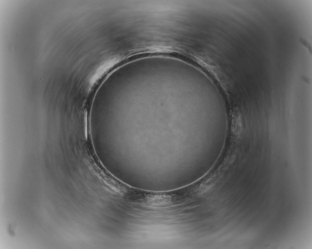 X0000102821171200808181239