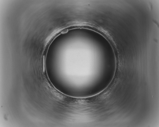 X0000102821175200808181239