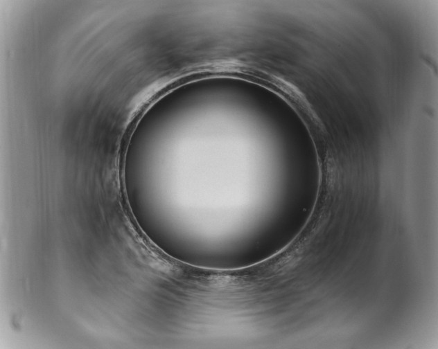 X0000102821176200808181239