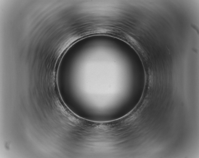 X0000102821178200808181239