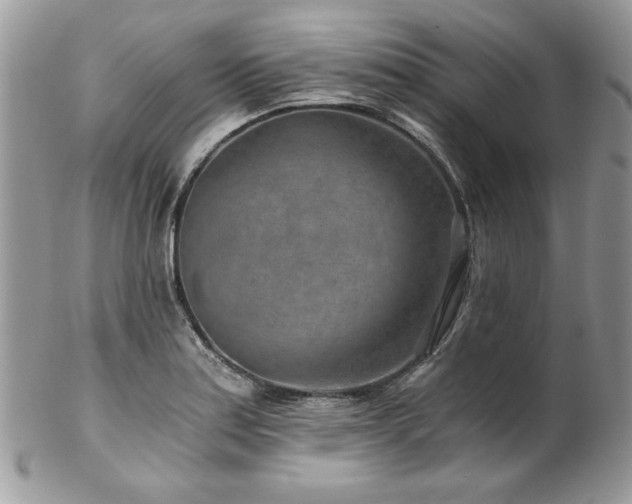 X0000102821179200808181239