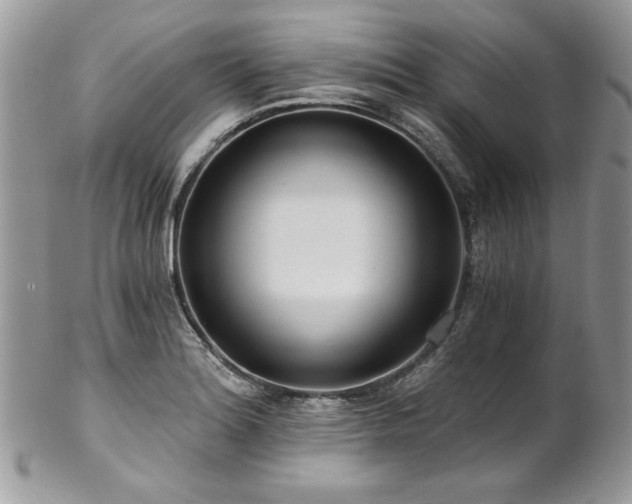 X0000102821180200808181239