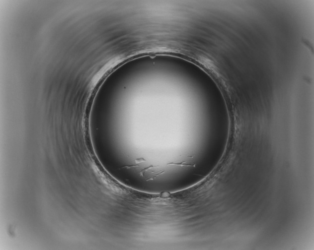 X0000102821181200808181239