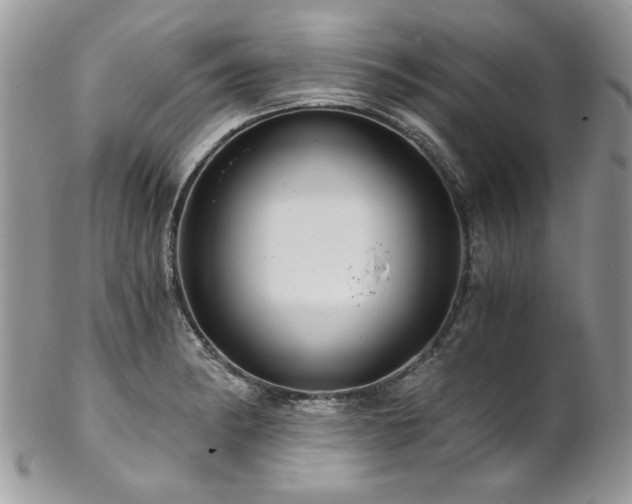 X0000102821182200808181239