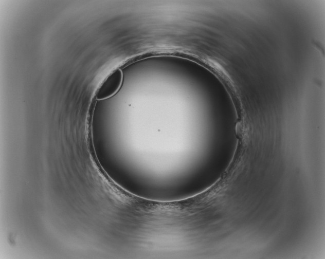 X0000102821183200808181239