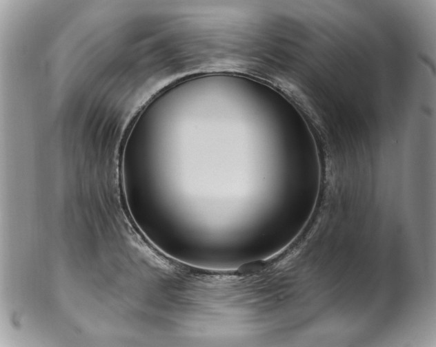 X0000102821184200808181239