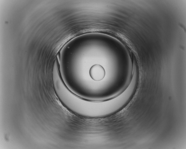 X0000102821185200808181239