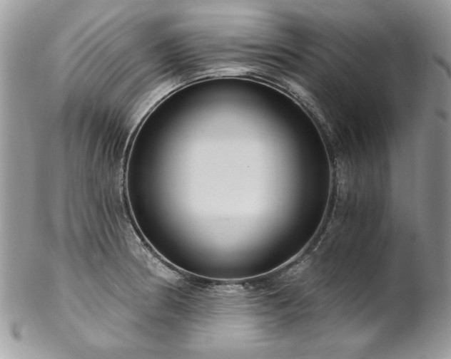 X0000102821186200808181239