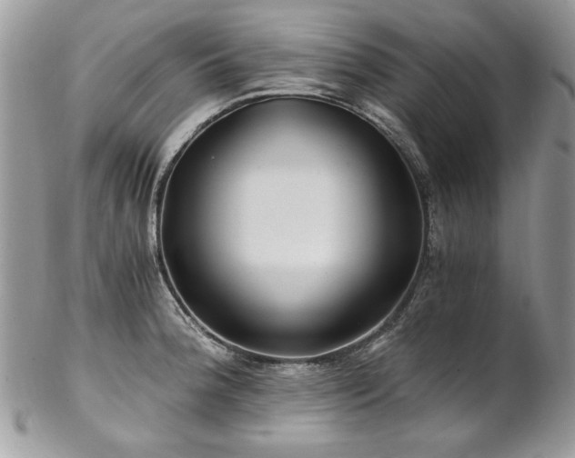 X0000102821188200808181239