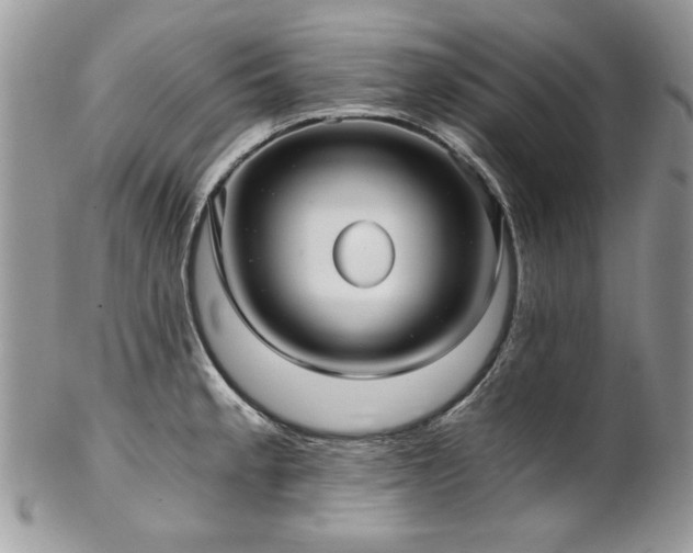 X0000102821189200808181239