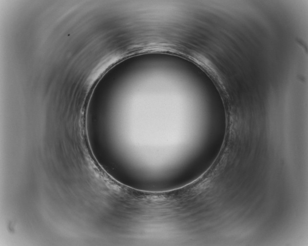 X0000102821190200808181239