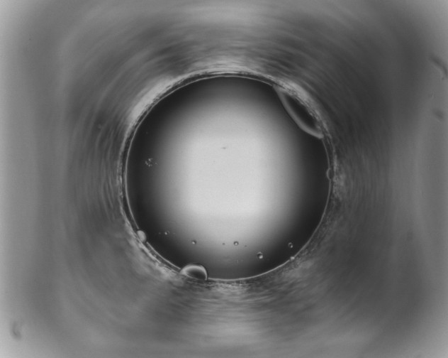 X0000102821191200808181239