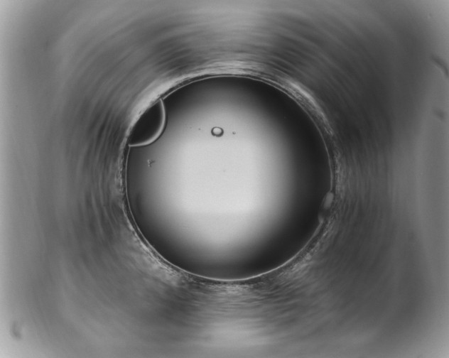 X0000102821192200808181239