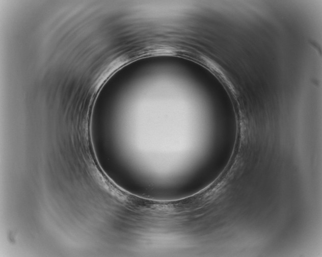 X0000102821194200808181239
