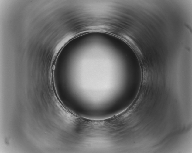 X0000102821196200808181239