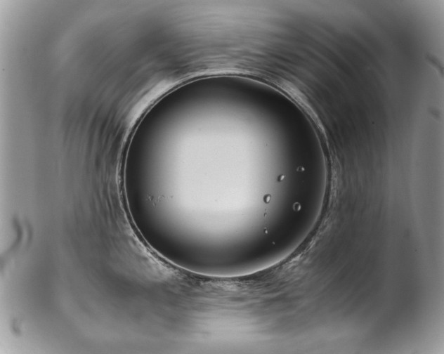 X0000102821197200808181239