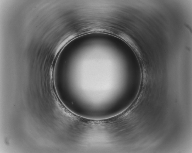 X0000102821198200808181239