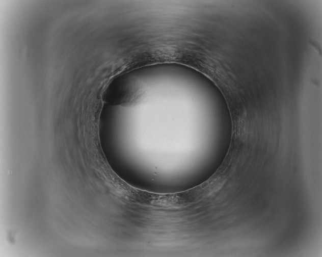 X0000102821201200808181238