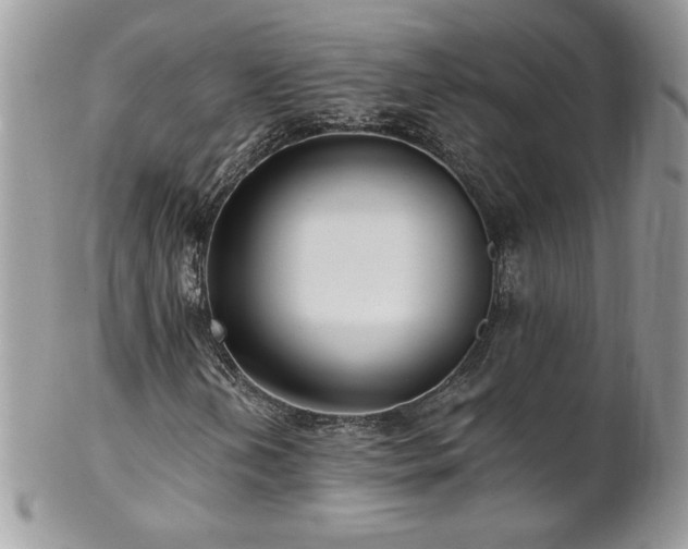X0000102821202200808181238