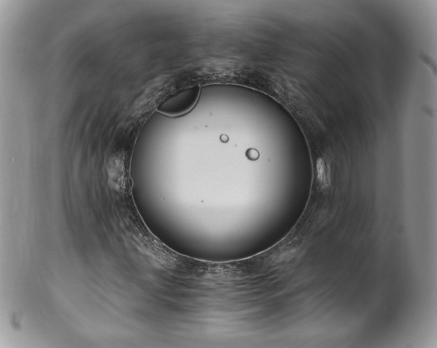 X0000102821203200808181238