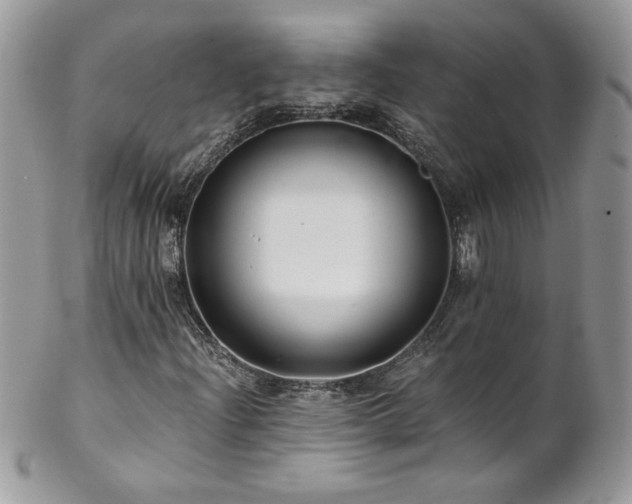 X0000102821204200808181238