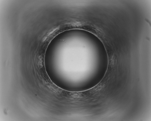 X0000102821205200808181238
