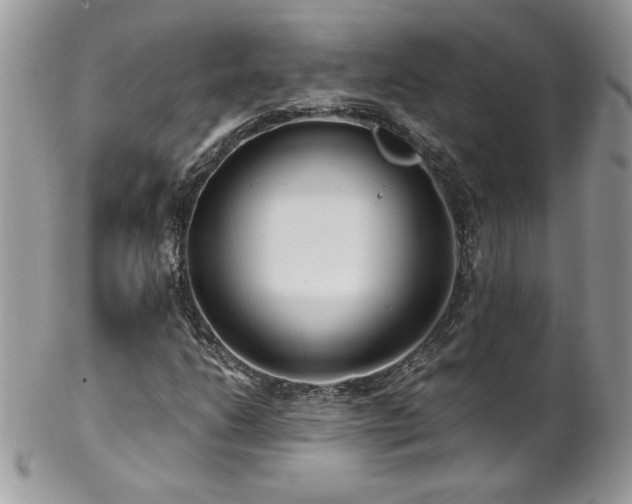 X0000102821206200808181238