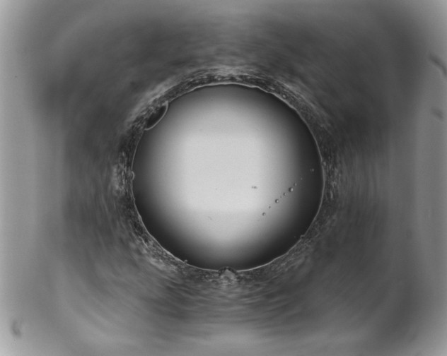 X0000102821207200808181238
