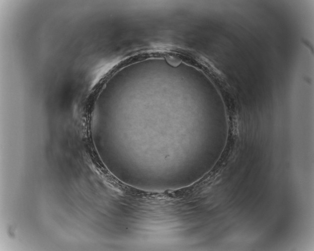 X0000102821208200808181238