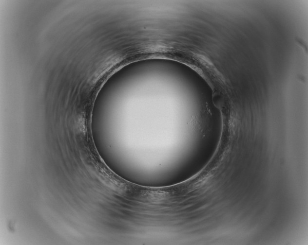 X0000102821209200808181238