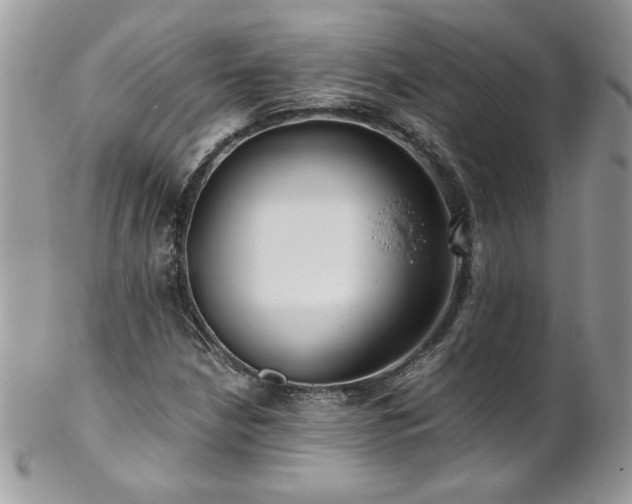 X0000102821210200808181238