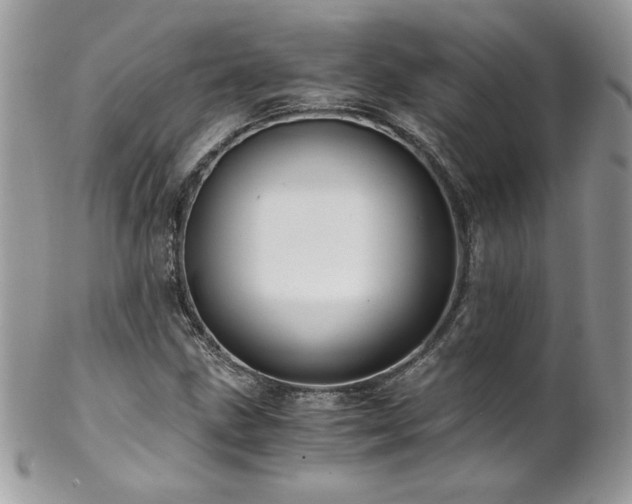 X0000102821211200808181238