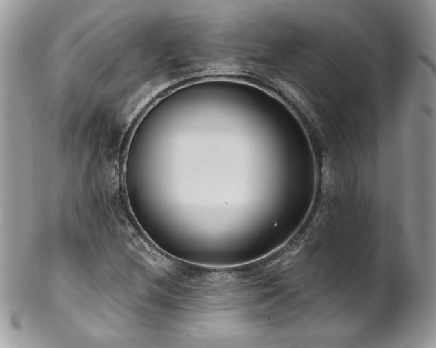 X0000102821212200808181238