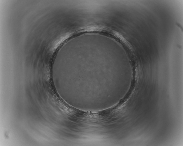 X0000102821213200808181238