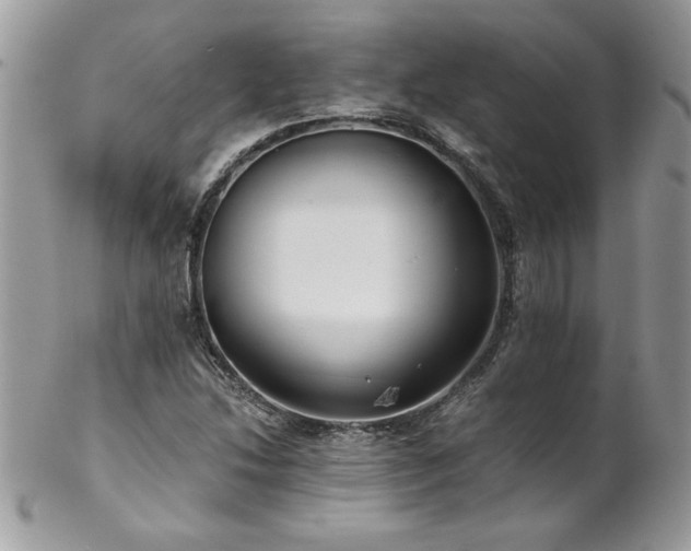 X0000102821214200808181238