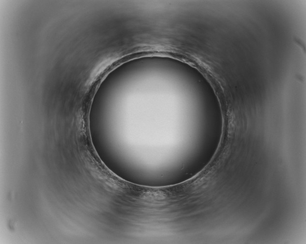 X0000102821215200808181238
