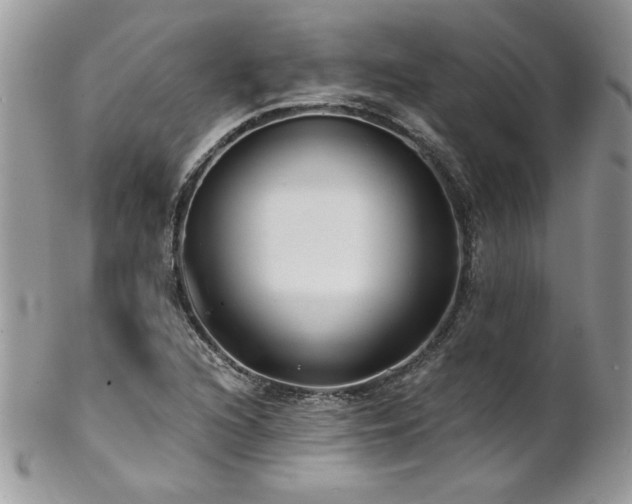 X0000102821216200808181238
