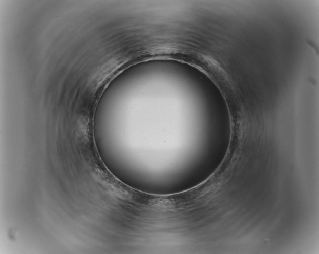 X0000102821217200808181238